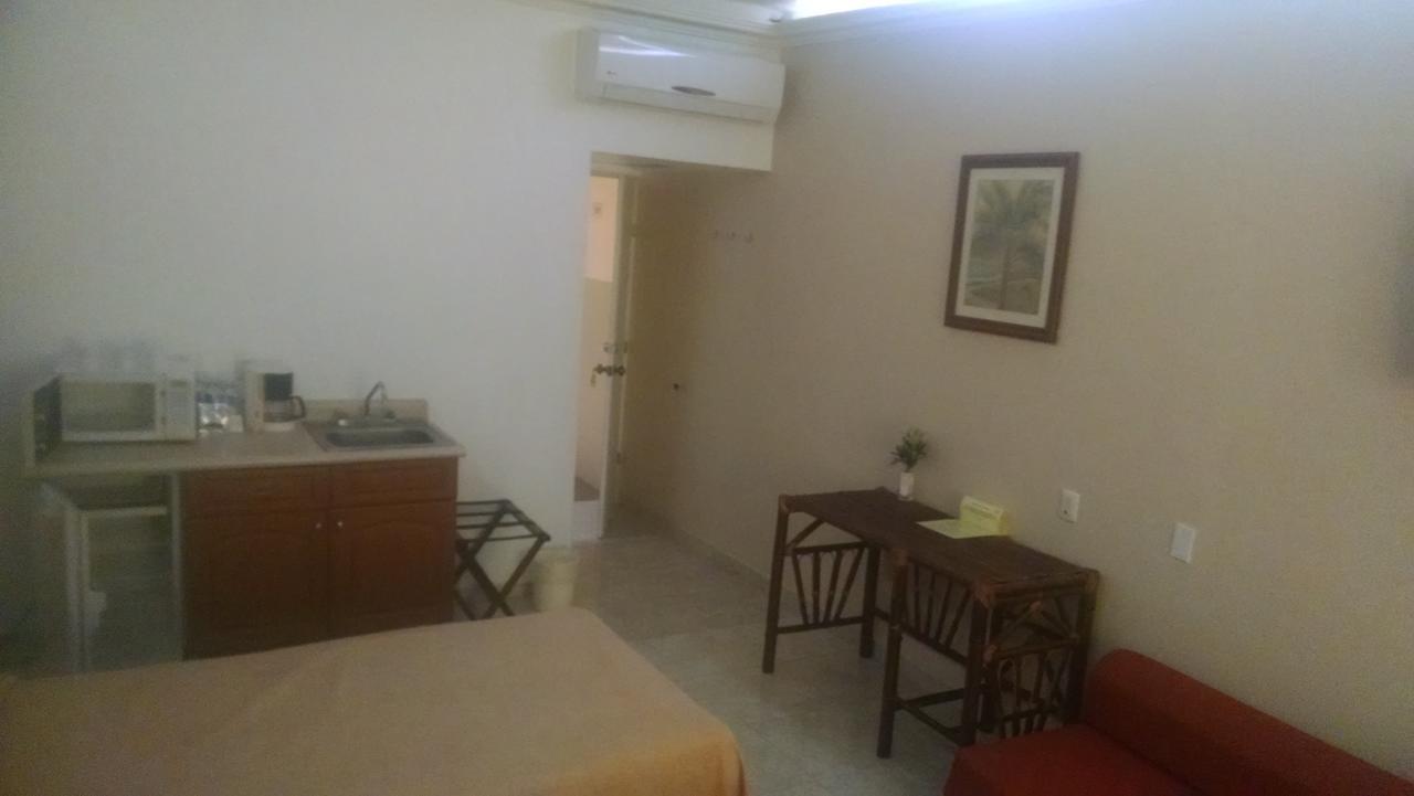 Palmera